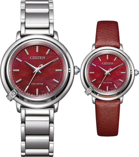 CITIZEN EM1090-78X