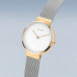 BERING Classic 14531-010